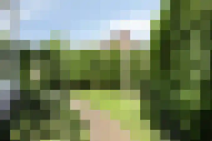 Toussaintplein 8 Alphen aan den Rijn thumbnail 32