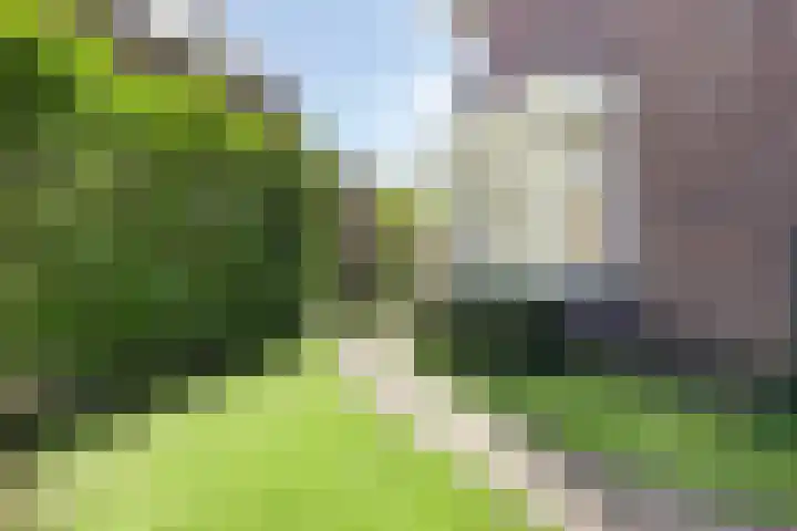 Toussaintplein 8 Alphen aan den Rijn thumbnail 33