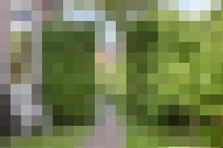 Toussaintplein 8 Alphen aan den Rijn thumbnail 34