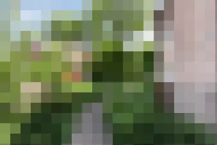 Toussaintplein 8 Alphen aan den Rijn thumbnail 35