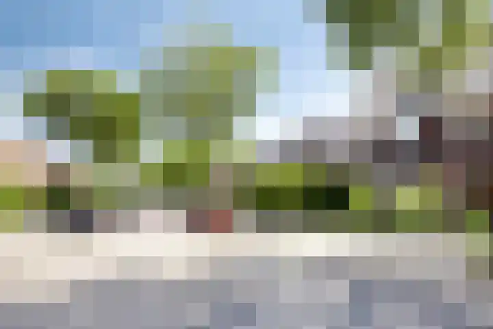 Toussaintplein 8 Alphen aan den Rijn thumbnail 36