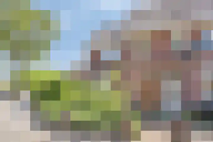Toussaintplein 8 Alphen aan den Rijn thumbnail 5