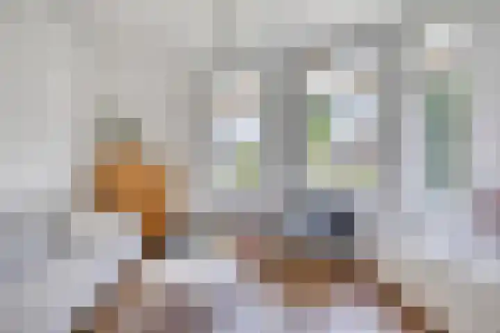 Toussaintplein 8 Alphen aan den Rijn thumbnail 7