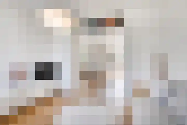 Toussaintplein 8 Alphen aan den Rijn thumbnail 8
