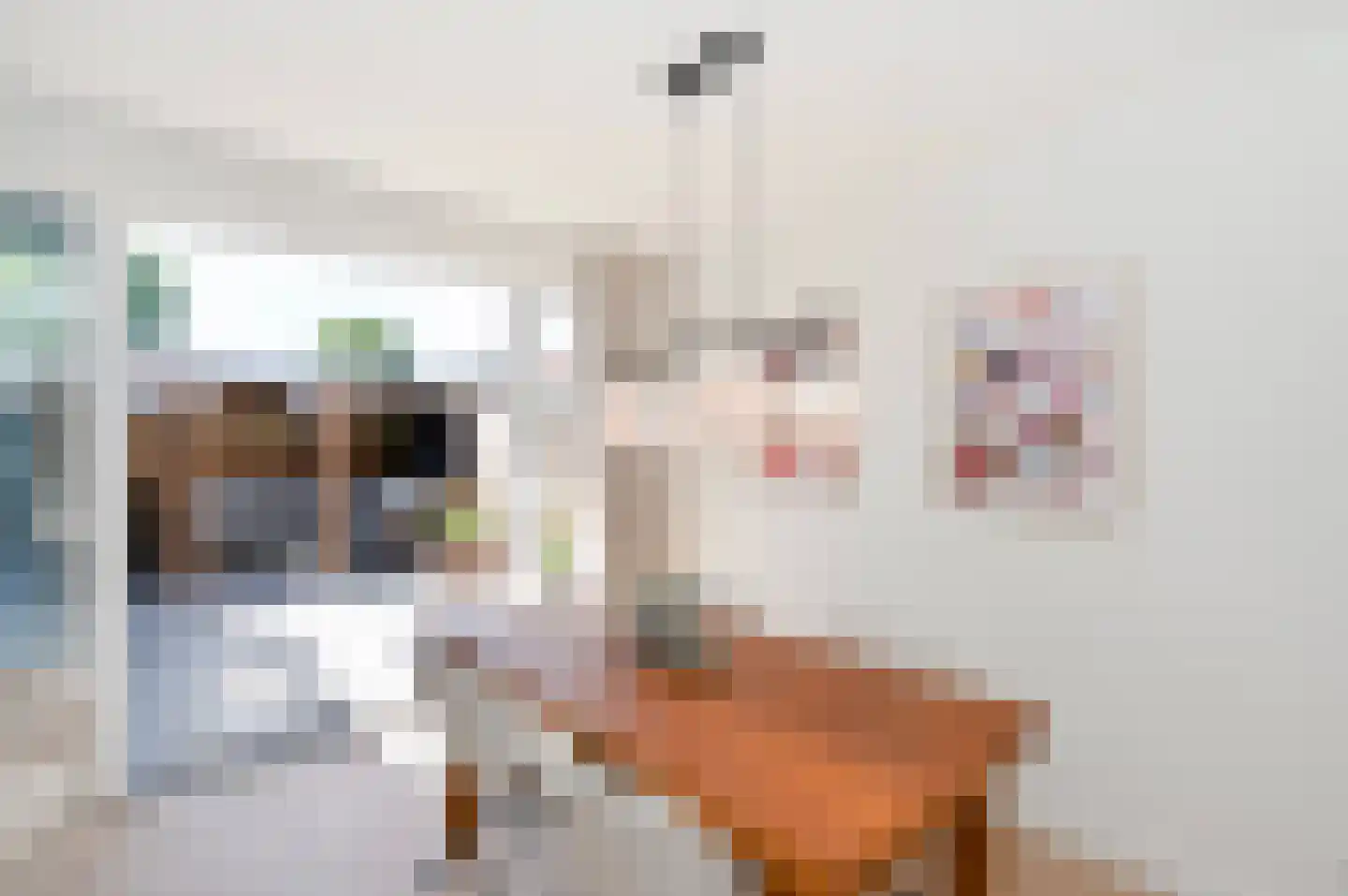 Toussaintstraat 17 Alphen aan den Rijn thumbnail 13