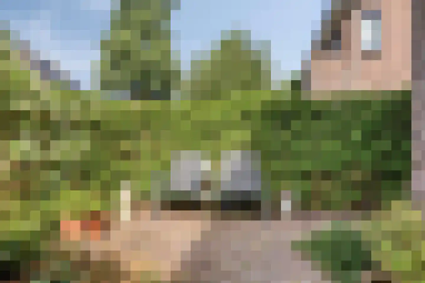 Toussaintstraat 52 Alphen aan den Rijn thumbnail 5