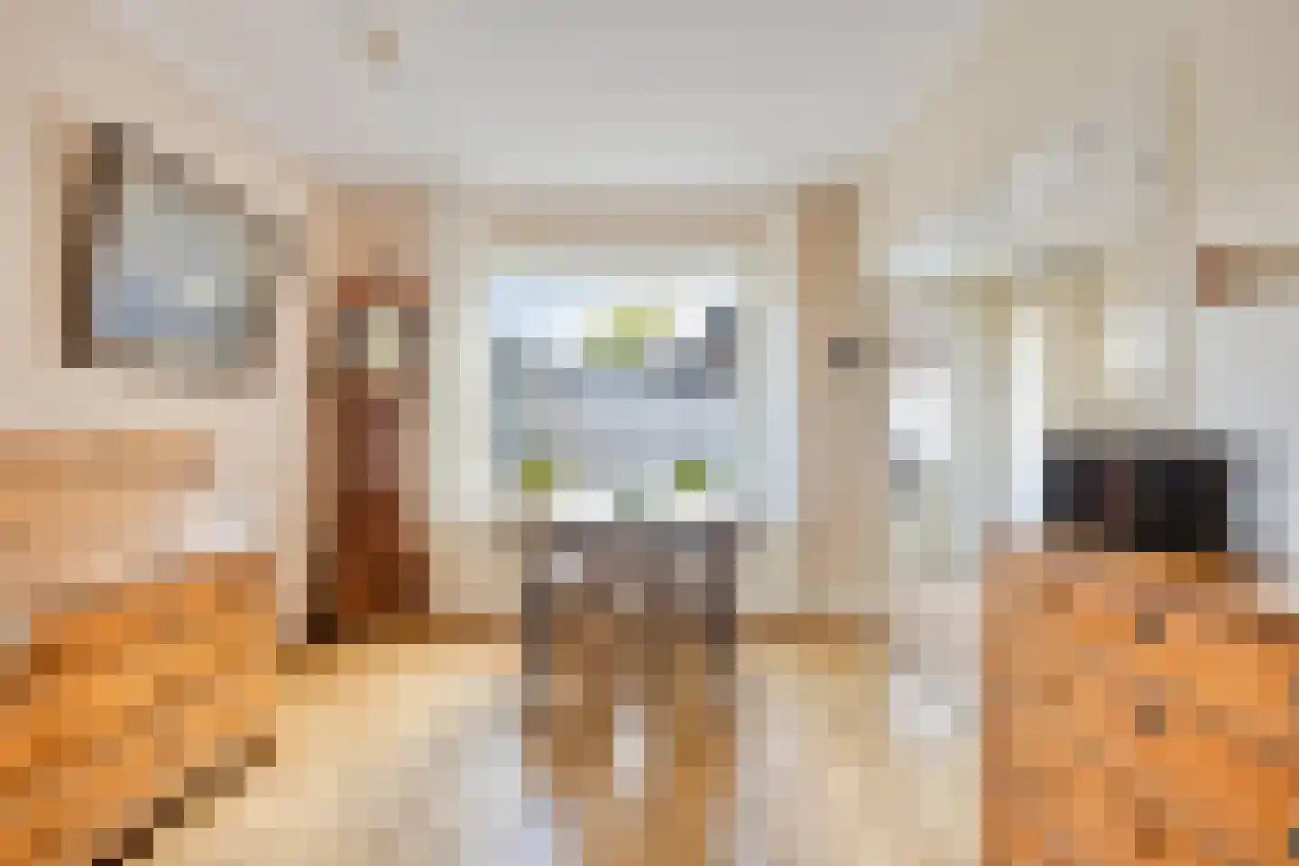 Toussaintstraat 52 Alphen aan den Rijn thumbnail 9