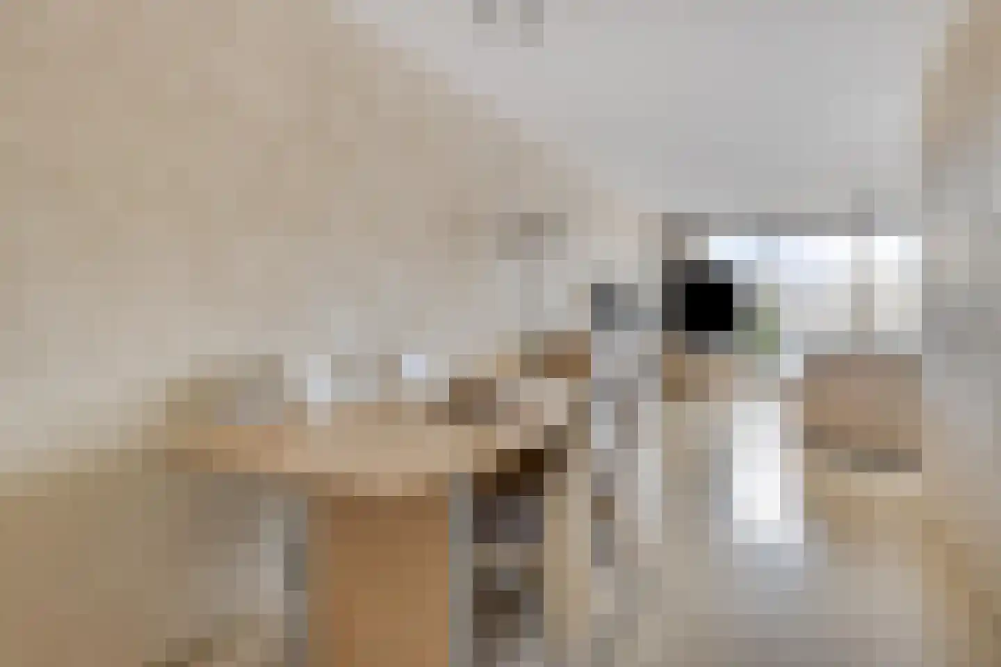Toussaintstraat 8 Rotterdam thumbnail 11
