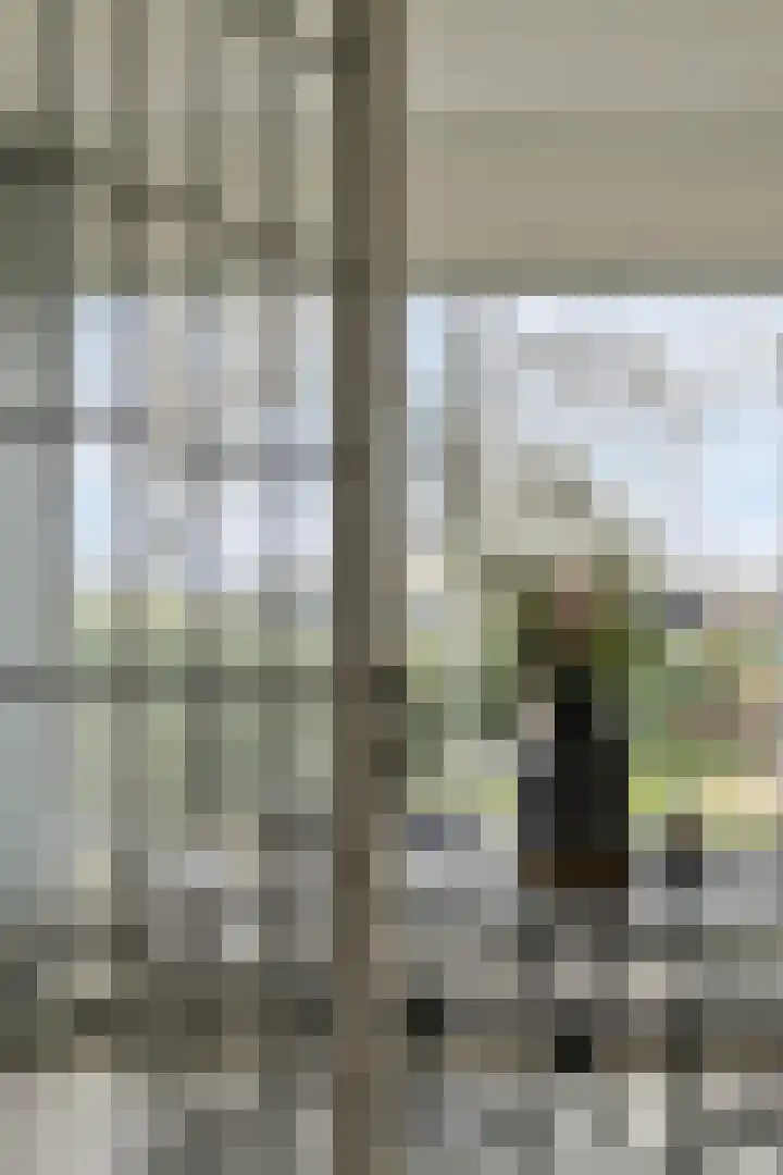 Toussaintstraat 8 Rotterdam thumbnail 32
