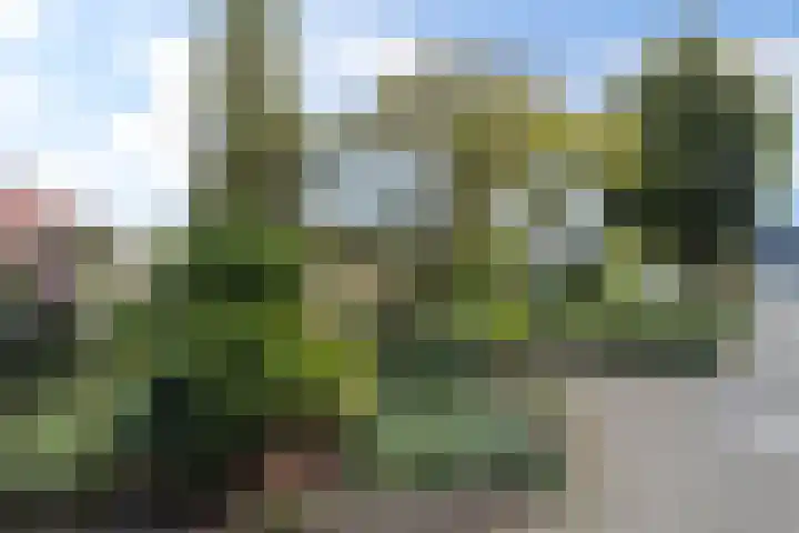Toutenburg 115 Dordrecht thumbnail 36