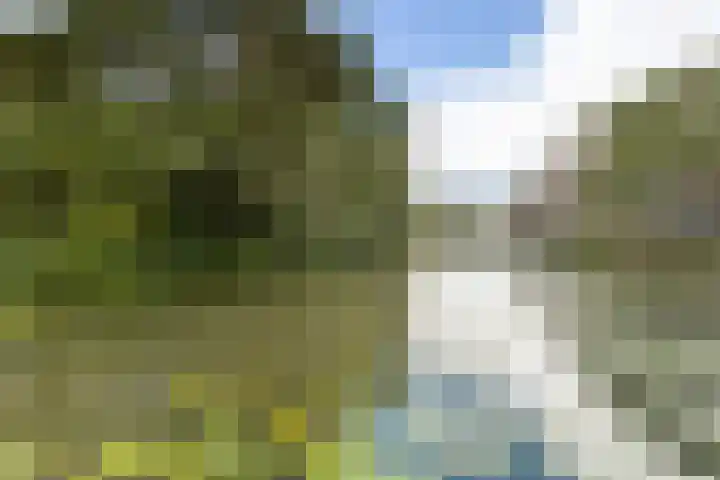 Toutenburg 115 Dordrecht thumbnail 42