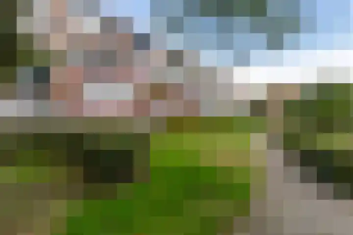Toutenburg 115 Dordrecht thumbnail 5