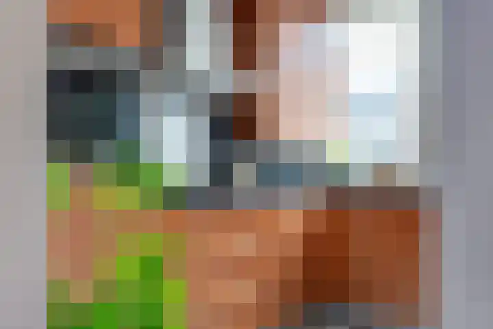Toutenburg 12 Heemskerk thumbnail 18