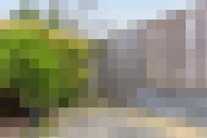 Toutenburg 12 Heemskerk thumbnail 22