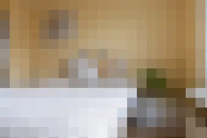 Toutenburg 12 Heemskerk thumbnail 31