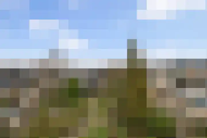Toutenburg 141 Dordrecht thumbnail 18