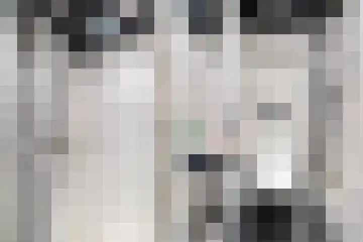 Toutenburg 141 Dordrecht thumbnail 25