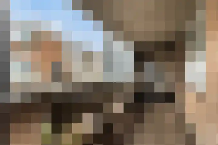 Toutenburg 141 Dordrecht thumbnail 26