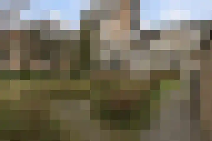Toutenburg 141 Dordrecht thumbnail 31