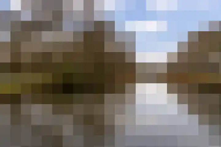 Toutenburg 141 Dordrecht thumbnail 34
