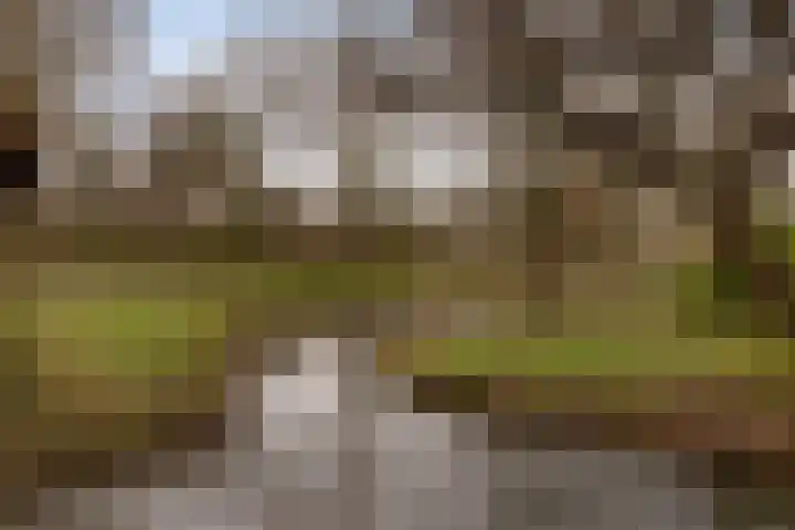 Toutenburg 141 Dordrecht thumbnail 35