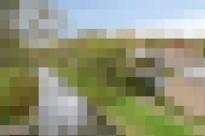 Toutenburg 22 Zwijndrecht thumbnail 18