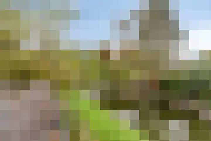 Toutenburg 22 Zwijndrecht thumbnail 21