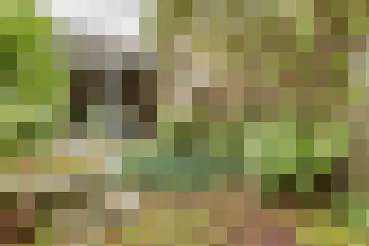 Toutenburg 22 Zwijndrecht thumbnail 39