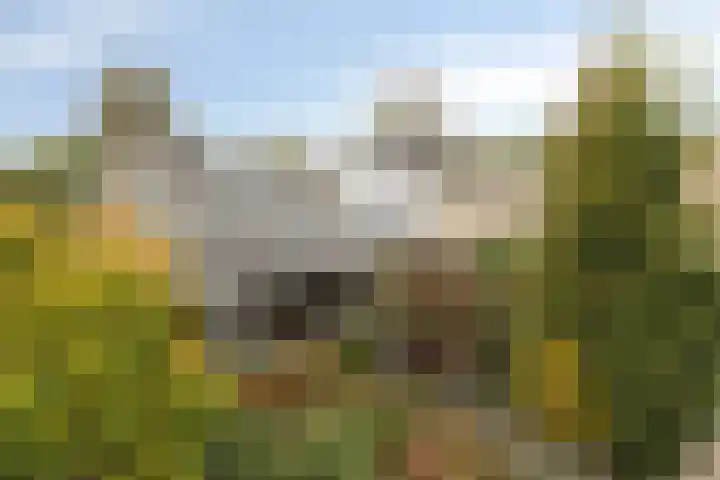Toutenburg 22 Zwijndrecht thumbnail 4