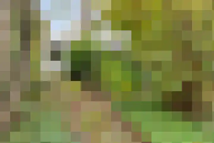 Toutenburg 22 Zwijndrecht thumbnail 42