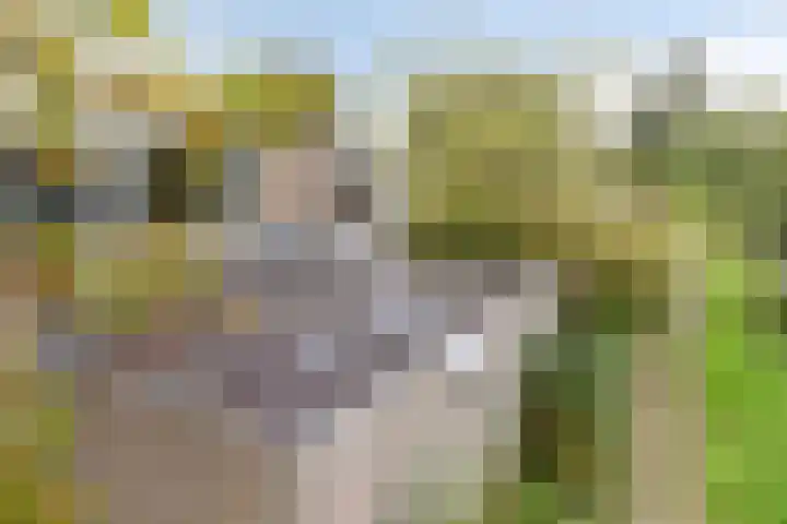 Toutenburg 22 Zwijndrecht thumbnail 43