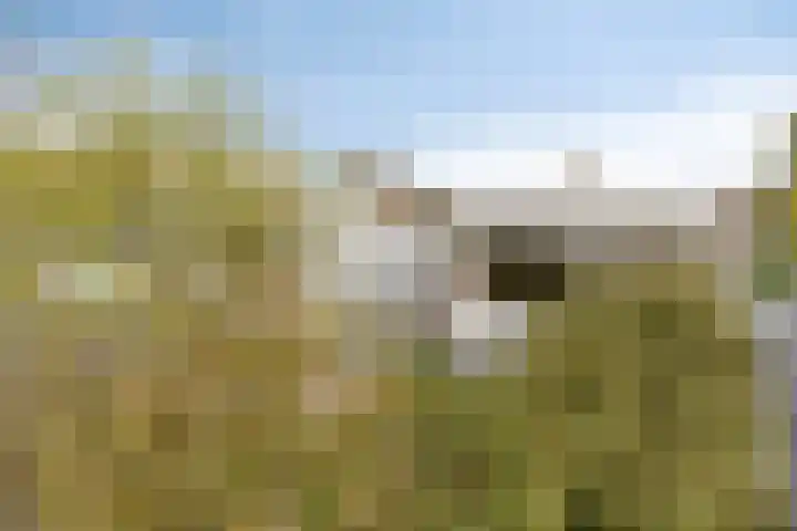 Toutenburg 22 Zwijndrecht thumbnail 44