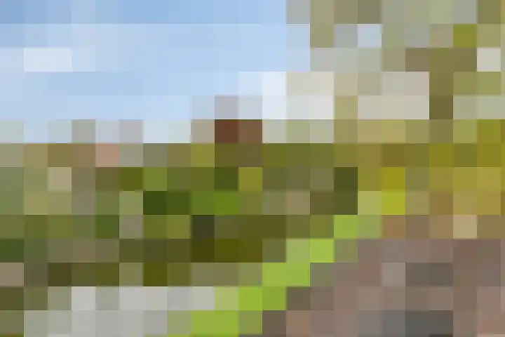 Toutenburg 22 Zwijndrecht thumbnail 47