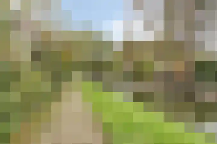 Toutenburg 22 Zwijndrecht thumbnail 48