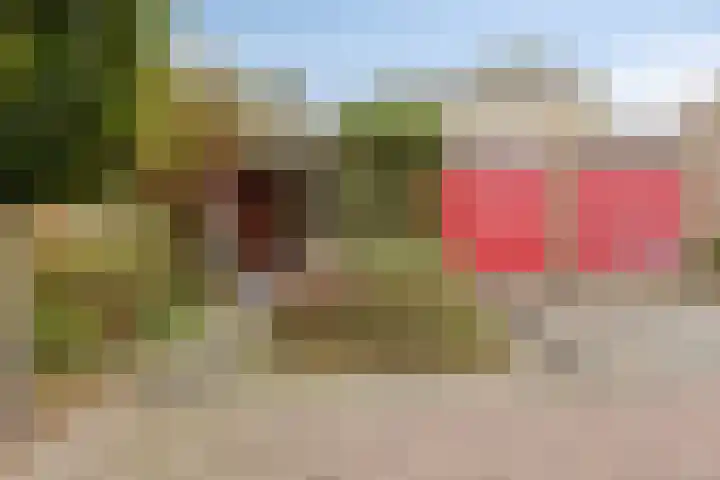 Toutenburg 22 Zwijndrecht thumbnail 5