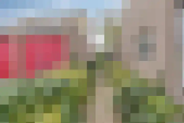 Toutenburg 22 Zwijndrecht thumbnail 54