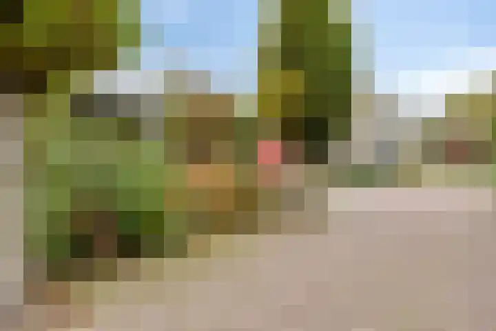 Toutenburg 22 Zwijndrecht thumbnail 56