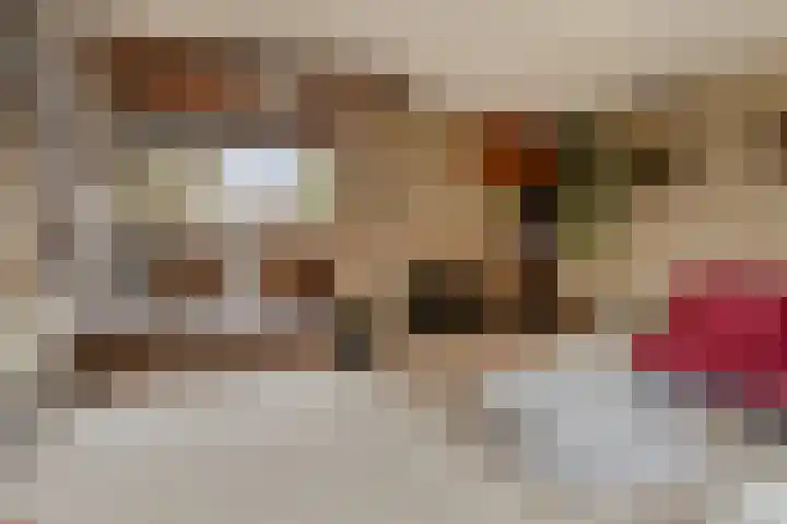 Toutenburg 22 Zwijndrecht thumbnail 7