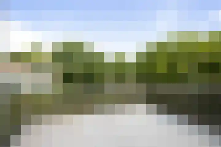 Toutenburg 233 Deventer thumbnail 22