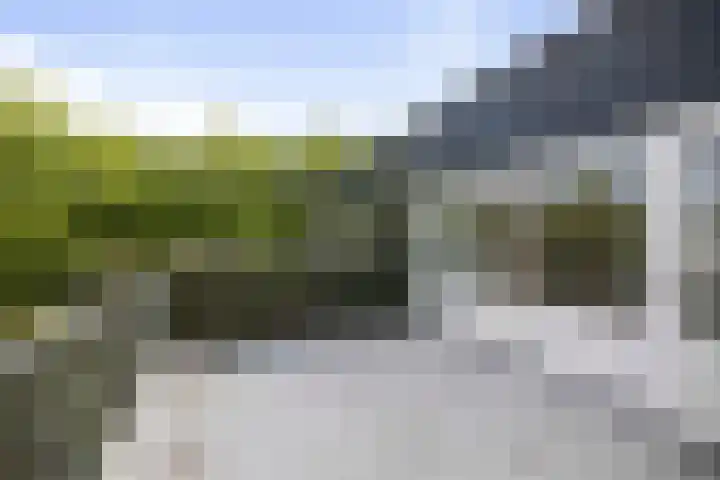 Toutenburg 233 Deventer thumbnail 23