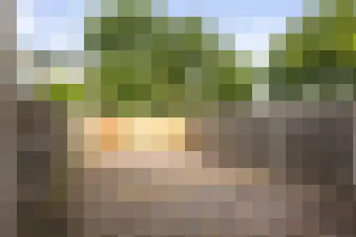 Toutenburg 233 Deventer thumbnail 25