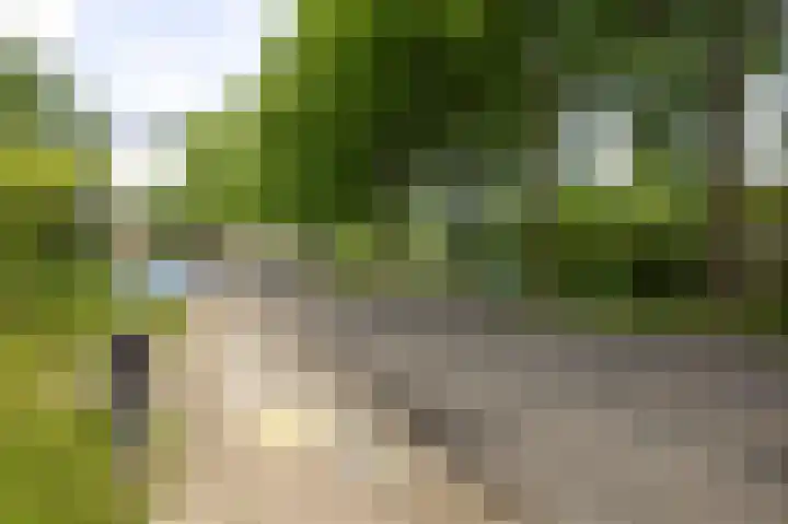 Toutenburg 233 Deventer thumbnail 27