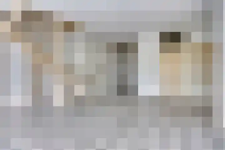 Toutenburg 29 Vlissingen thumbnail 4