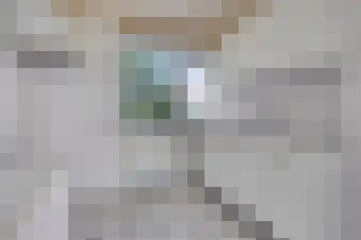 Toutenburg 29 Vlissingen thumbnail 5