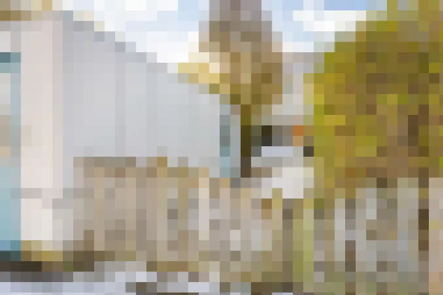 Toutenburg 42 Vlissingen thumbnail 20