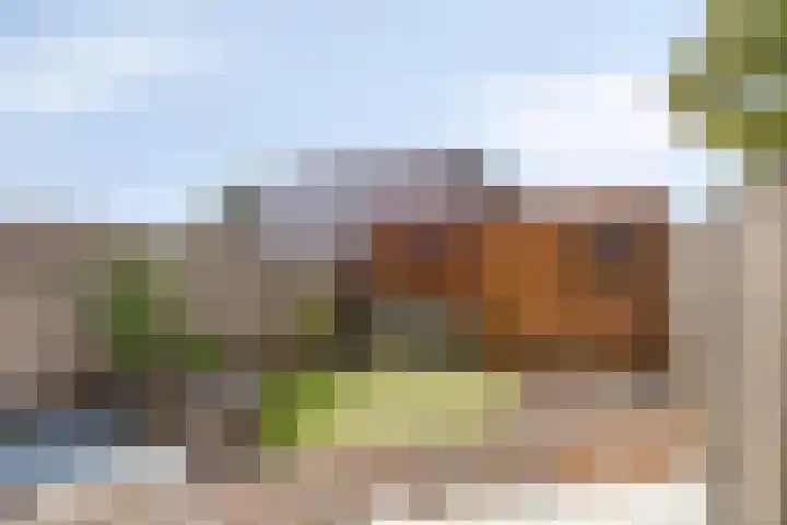Toutenburg 55 Vlissingen thumbnail 21
