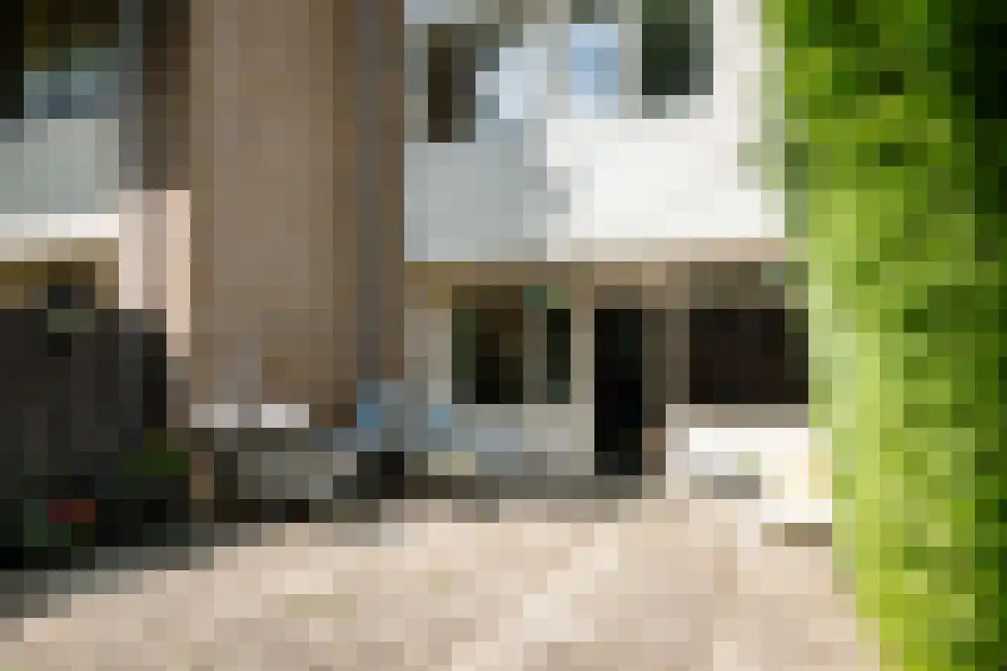 Toutenburg 566 Deventer thumbnail 19
