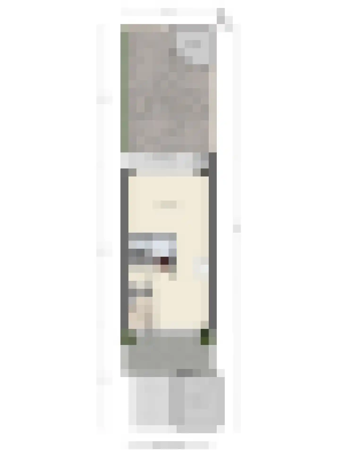 Toutenburg 566 Deventer thumbnail 42