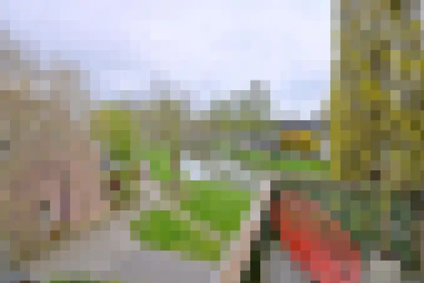 Toutenburg 702 Deventer thumbnail 15