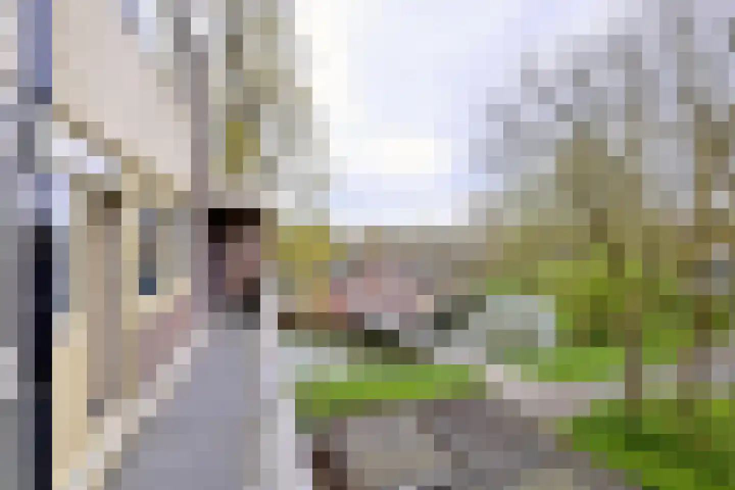 Toutenburg 702 Deventer thumbnail 38
